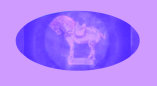 051013_halloween_unicorns_collectibles_congo_paintings001027.jpg