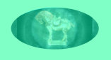 051013_halloween_unicorns_collectibles_congo_paintings001029.jpg